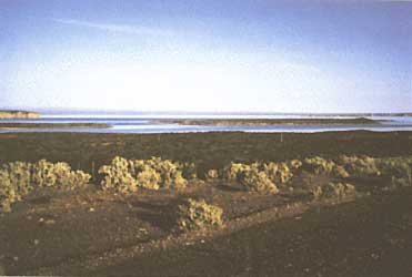 Photo of Ezequiel Ramos Mexia Reservoir